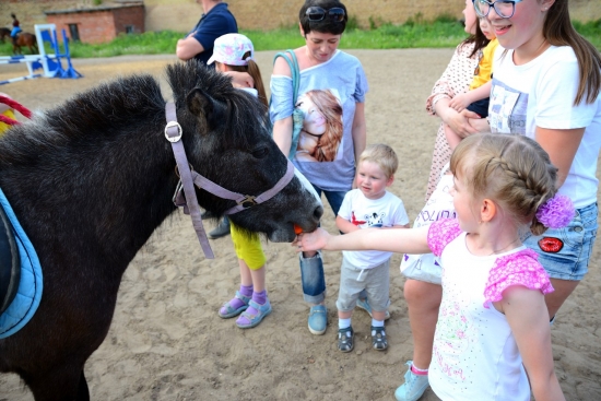 Фото Кирилла Обрезкова