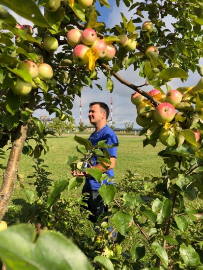 Начинать утро с прогулки по яблоневому саду стало хорошей традицией участников пресс-тура в Вологодской области